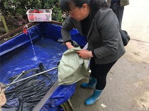 五一吃瓜群众视频播放