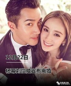 娱乐圈吃瓜全集pdf 12页,娱乐圈吃瓜全集PDF第12页精彩揭秘！