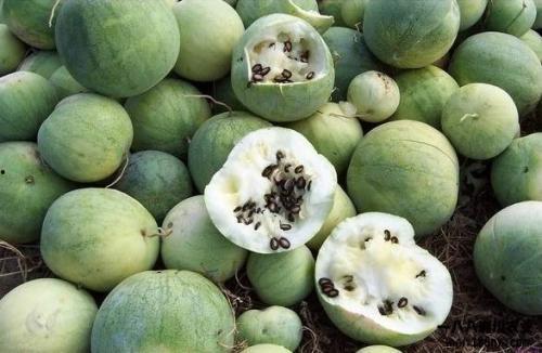 吃瓜群众视频来源是什么,探寻网络热点背后的真相