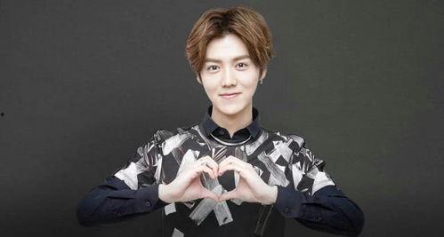 娱乐圈吃瓜猛料鹿晗小说