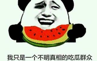 吃瓜群众视频短片大全