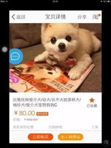 娱乐吃瓜酱大哥爱小狗