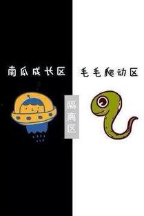 娱乐吃瓜八卦背景图聊天,揭秘明星幕后故事，吃瓜群众狂欢时刻