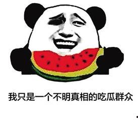 吃瓜网络语,揭秘网络吃瓜文化的崛起与演变