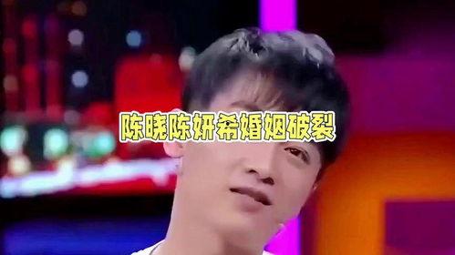 娱乐圈吃瓜陈晓图片,吃瓜群众热议的幕后真相