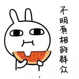 娱乐吃瓜酱努力生活,在追逐娱乐热点中努力生活的点滴