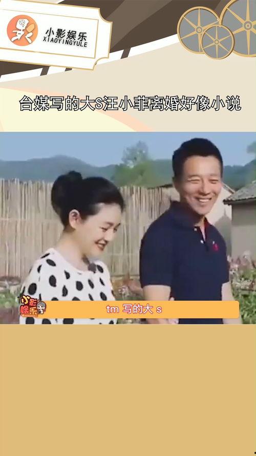 娱乐圈吃瓜汪小菲小说,汪小菲的娱乐圈风云录
