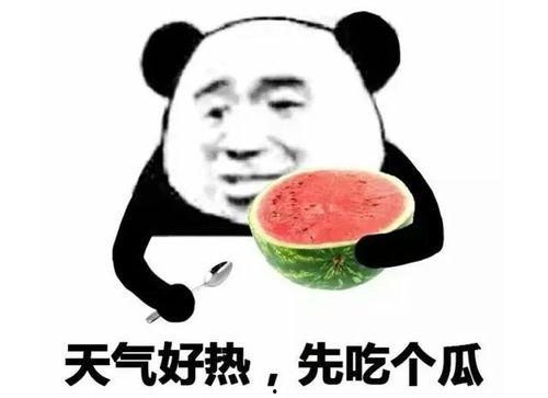 吃瓜表情回复什么好,吃瓜表情背后的趣味解读