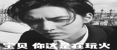 娱乐圈吃瓜文案搞笑